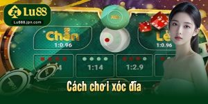 Cách chơi xóc đĩa