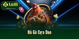 Đá Gà Cựa Dao