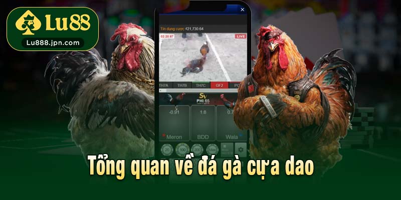 Tổng quan về đá gà cựa dao