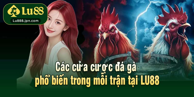 Các cửa cược đá gà phổ biến trong mỗi trận tại LU88