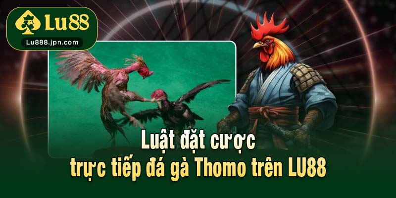Luật đặt cược trực tiếp đá gà Thomo trên LU88